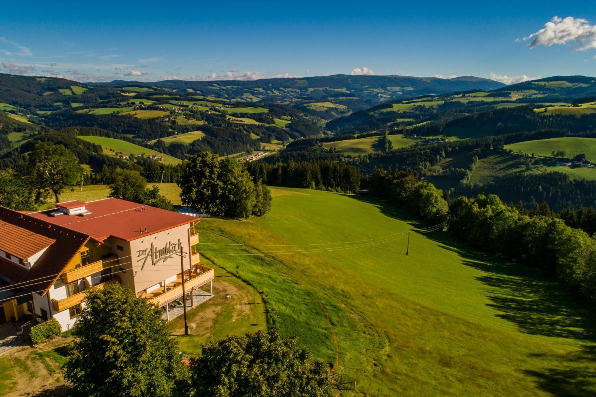 Hotel Der Almblick à Strallegg Extérieur photo