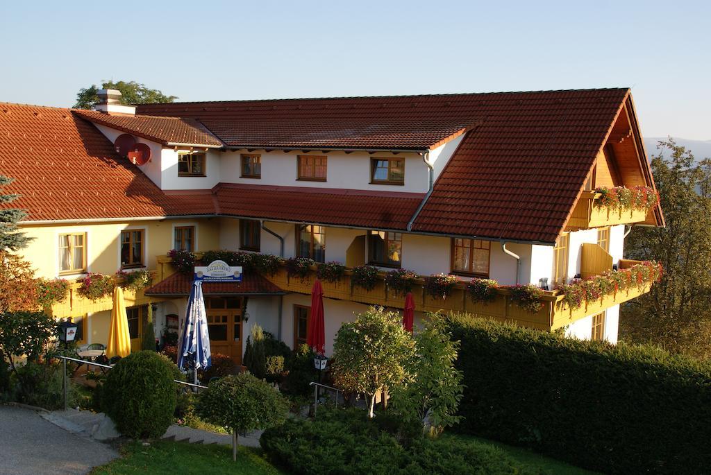 Hotel Der Almblick à Strallegg Extérieur photo